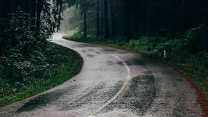 Check spelling or type a new query. Rain In Jungle Road Nature View 4k Wallpaper Forest Road Wallpaper Phone 3840x2160 Wallpaper Teahub Io