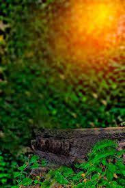Png Images Gallery Background Blur Background Photography Blur Photo Background Background Images Hd