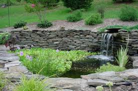 Maybe you would like to learn more about one of these? Kingstowne Lawn Landscape Project Photos Reviews Alexandria Va Us Houzz