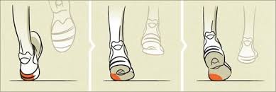 NEUTRAL VS DYNAMIC SUPPORT SHOES