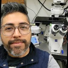 Introducing Ash, a new AI for mental health