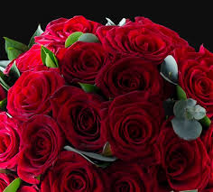 Add a little something extra 3. Flower Delivery Order Flowers Online Uk Appleyard London