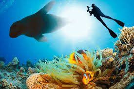 Image result for marine science