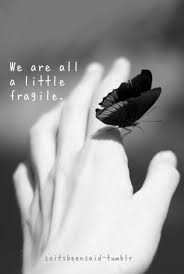 Quotes Quote Quotation Quotations We Are All A Little Fragile Hand Butterfly Blackandwhite Black White Photography White Photography Black White