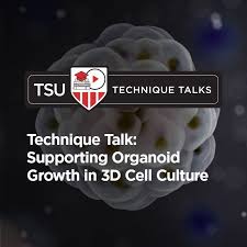 Maybe you would like to learn more about one of these? Cell Culture News Articles The Scientist Magazine