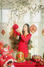Tet Decoration Trang Tri Việt Nam Ao Dai