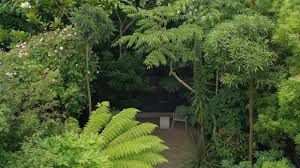 Is your garden small, overlooked or in shadow for part of the day? Secrets Of Success For Your Shady Garden