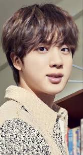 handsome male japanese chin for the most loving family💓