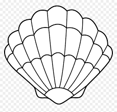 Pngkit selects 29 hd clam shell png images for free download. Clam Clipart Outline Picture Shell Clipart Black And White Hd Png Download Vhv