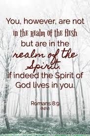 How To Discern The Voice Of The Holy Spirit 5 Truths From God S Word Discernment Holy Spirit Bible Quotes