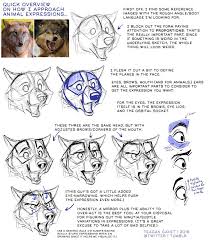 My Approach To Animal Expressions By Blackteagan Animal Drawings Art Drawing Expressions