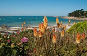 Vacances : la côte Atlantique et la Manche nouvelles stars de ...