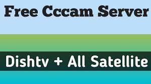 Previous post:free cccam server dish tv 06.07.2020. Pin On Rozvagi