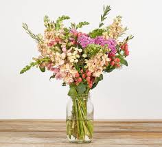 Often the decision to send flowers to someone will be made at very short notice, whether you are saying thank you, miss you or an expression of your by using local florists for our flower deliveries, you are supporting your local florists and ensuring that people all over the world will be able to send. 12 Best Florists For Flower Delivery In Tampa Fl Petal Republic