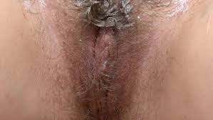 Hairy Pussies - Wild XXX Videos Revealed Now