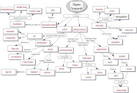 biologically important organic molecules original document