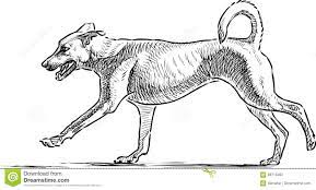 Sketch Of A Running Dog Stock Vector. Illustration Of German - 89716302