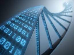 Dna computers are programmable molecular computing machine composed of enzymes and dna molecules instead of silicon microchips that performs 330 trillion operations per second, more than. Sbu Computer Science Team Develops New Sequencing Search Tool Mantis Sbu News