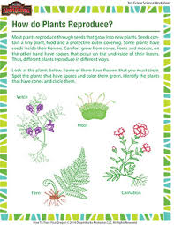 Maybe you would like to learn more about one of these? How Do Plants Reproduce 3rd Grade Science Worksheets Sod