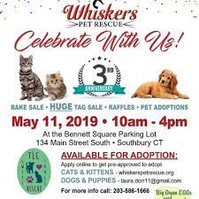 As a leader in the pet loss profession, you can trust pet passages to handle the loss of your pet. Whiskers Pet Rescue S 3rd Anniversary Celebration In Southbury On Saturday