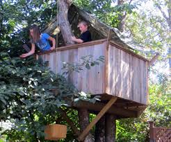 Mark the bark about 17 inches below the finished deck height on one side of the tree. How To Build A Treehouse 17 Steps With Pictures Instructables