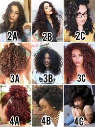 Your curl pattern is also identified by the shape that the strands of hair make, whether they kink, curve, or wind around themselves into spirals, says hairstylist vernon françois. Hair Type 3a To 4c Novocom Top