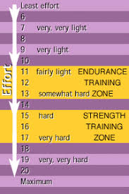 borg rpe scale 1 20 google search physical therapy