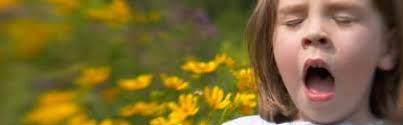 Sel efektor dan sel memori c. Mekanisme Pertahanan Tubuh Terhadap Bakteri Children Allergy Center