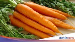 Pada pengobatan kolesterol, jamur kuping mampu mengikat brokoli adalah jenis sayuran yang mudah rusak sehingga memiliki nilai jual yang mahal. Saat Lagi Diet Perbanyak Konsumsi 10 Sayuran Rendah Kalori Ini