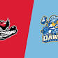 Huntsville Havoc at Roanoke Rail Yard Dawgs