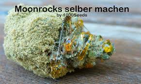 These moonrocks were made using dense suver haze hemp nugs, thc free distillate,and cbg kief. Moonrocks Wie Man Das Starkste Cannabisprodukt Selbst Macht 1000seeds