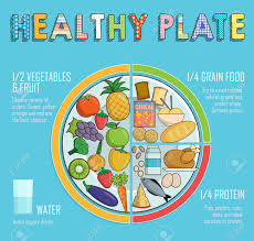 infographic chart illustration of a healthy plate nutrition