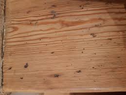 Here are the pros, cons & how considering painted stair treads in your home but concerned about spending time on a diy project. Black Dots On Wooden Stair Treads Can T Sand Them Away Woodworking Stack Exchange