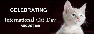 How to observe international cat day 50 World Cat Day 2018 Wish Pictures And Images