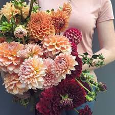 Shop For Flowers Online Flower Delivery Flowers Online Buy Flowers Online