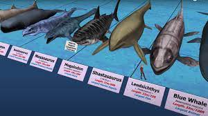 11 Size Comparison Videos That Will Give You a New Sense of Scale |  Lifehacker