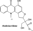 Image result for Thamnosma rhodesica