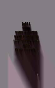 Bulletin of the College of William and Mary--Catalogue Issue, 1910-1911