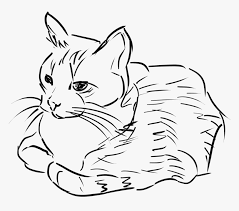 Download all types of clipart in png format for free; Cat Black And White White Cat Clipart Collection Cat Sitting Clipart Black And White Hd Png Download Transparent Png Image Pngitem