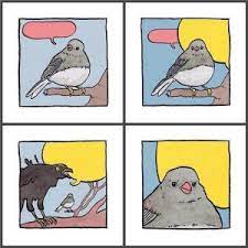 Annoyed Create Meme Meme Arsenal Com