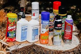 The spray creates a durable foam that kills wasps, hornets, and yellow jackets . The Best Wasp And Hornet Sprays For 2021 Reviews By Wirecutter