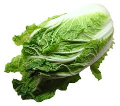 Napa Cabbage Png Image Napa Cabbage Cabbage Chinese Cabbage