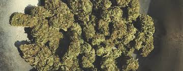 Comment Preparer Les Meilleurs Space Cakes La Recette Au Cannabis Rqs Blog