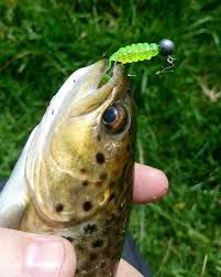 Sportsmans.com has been visited by 100k+ users in the past month Lure Fishing For Wild Brown Trout Off The Scale Magazine