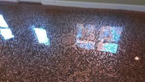 Penny Coated Floor Adds Flash To Georgia Home Concrete Decor Georgia Homes Concrete Decor Flooring