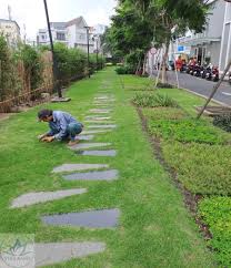 Dịch Vụ Cây Xanh Tại TPHCM - Chăm Sóc, Thi Công Uy Tín