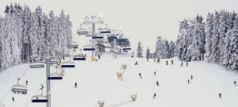 Guests can go skiing on the ski slopes of piramida, dorului or carp, which are 0.6 mi away from hotel cota 1400. Roxy World Webcam Live Sinaia Telecabina Cota 1400