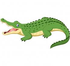 Cartoon Crocodile Isolated On White Background Crocodile Illustration Crocodile Cartoon Cartoon