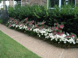 Pin On Garden Z 8 9
