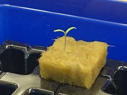 Image result for site:byggahus.se Rockwool